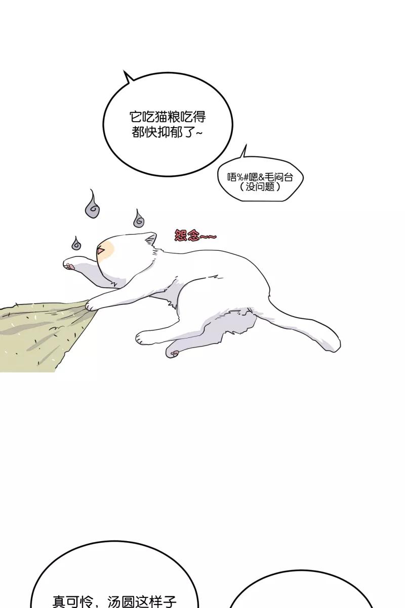 一半 - [第26话] 迷局（3） - 第48张图