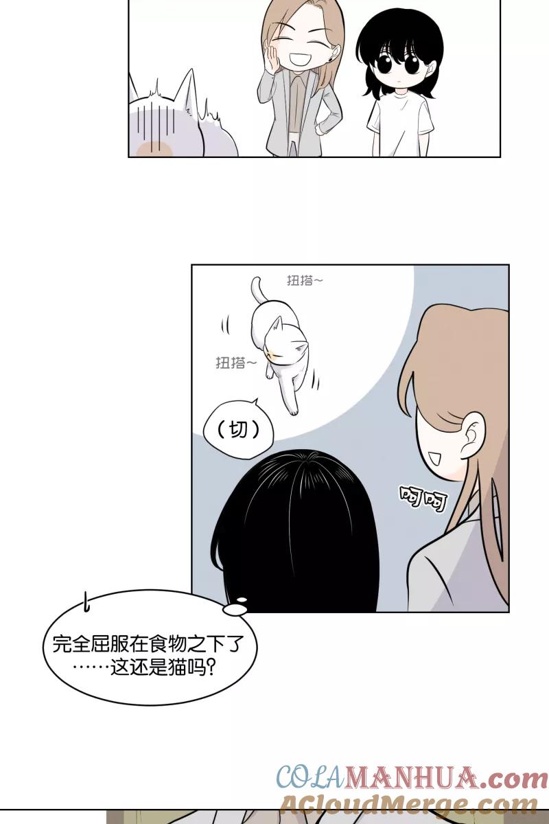 一半 - [第2话] 出走的猫（2） - 第31张图