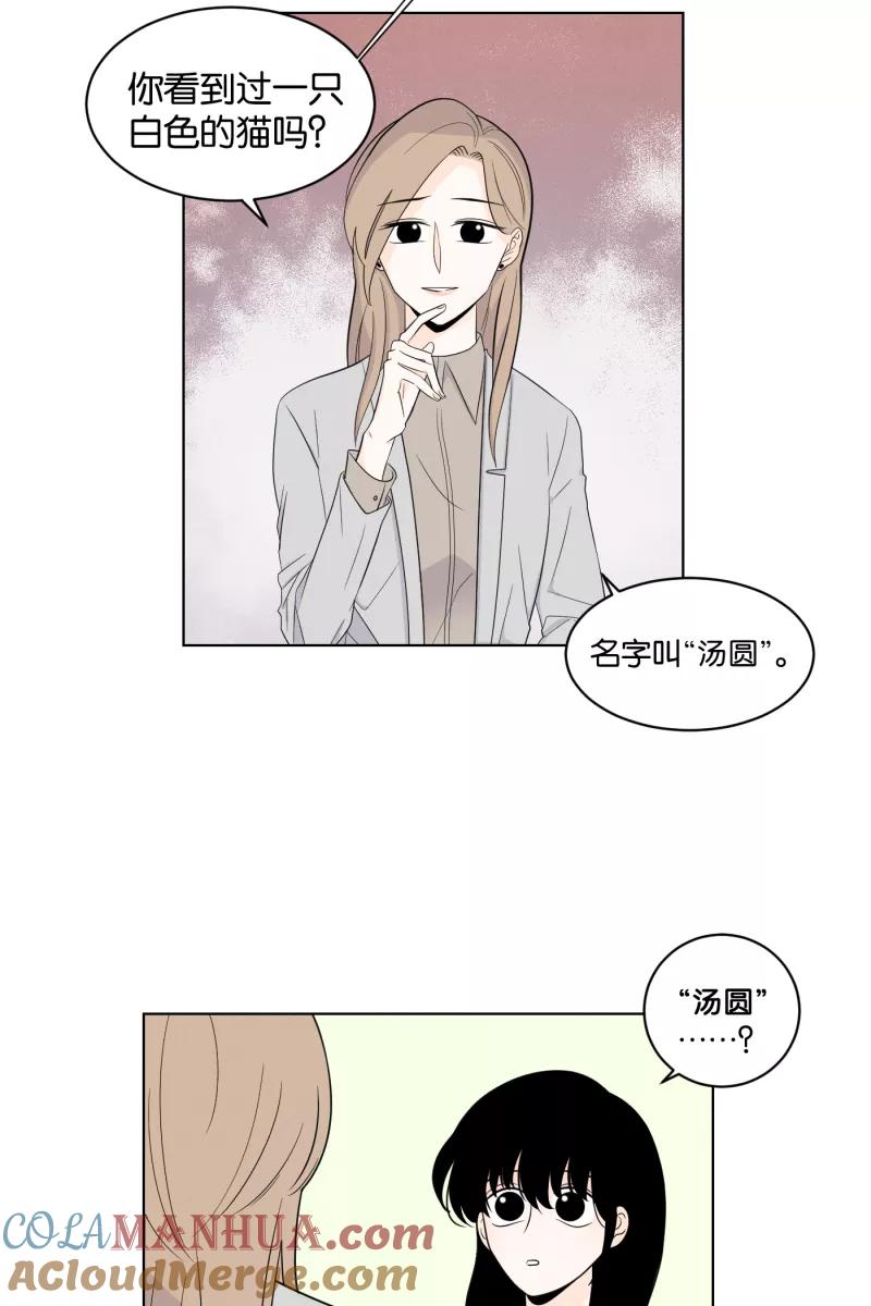 一半 - [第2话] 出走的猫（2） - 第25张图