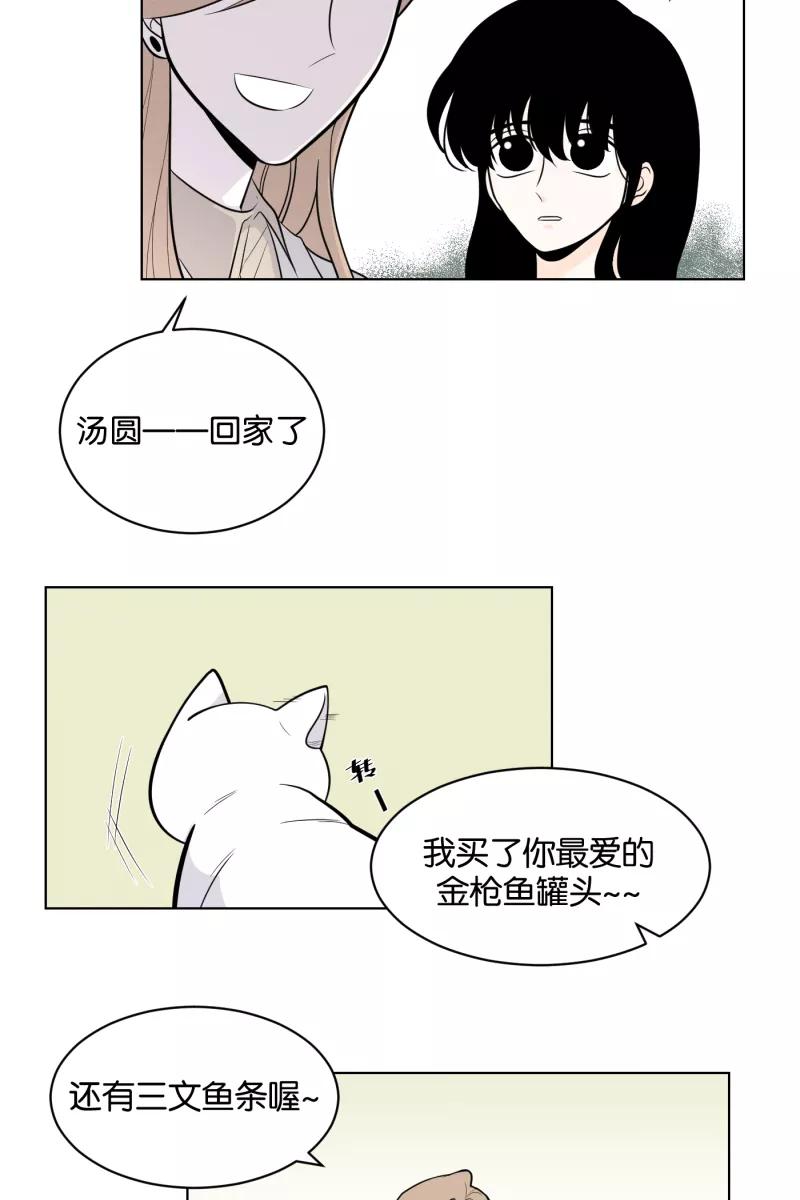 一半 - [第2话] 出走的猫（2） - 第30张图