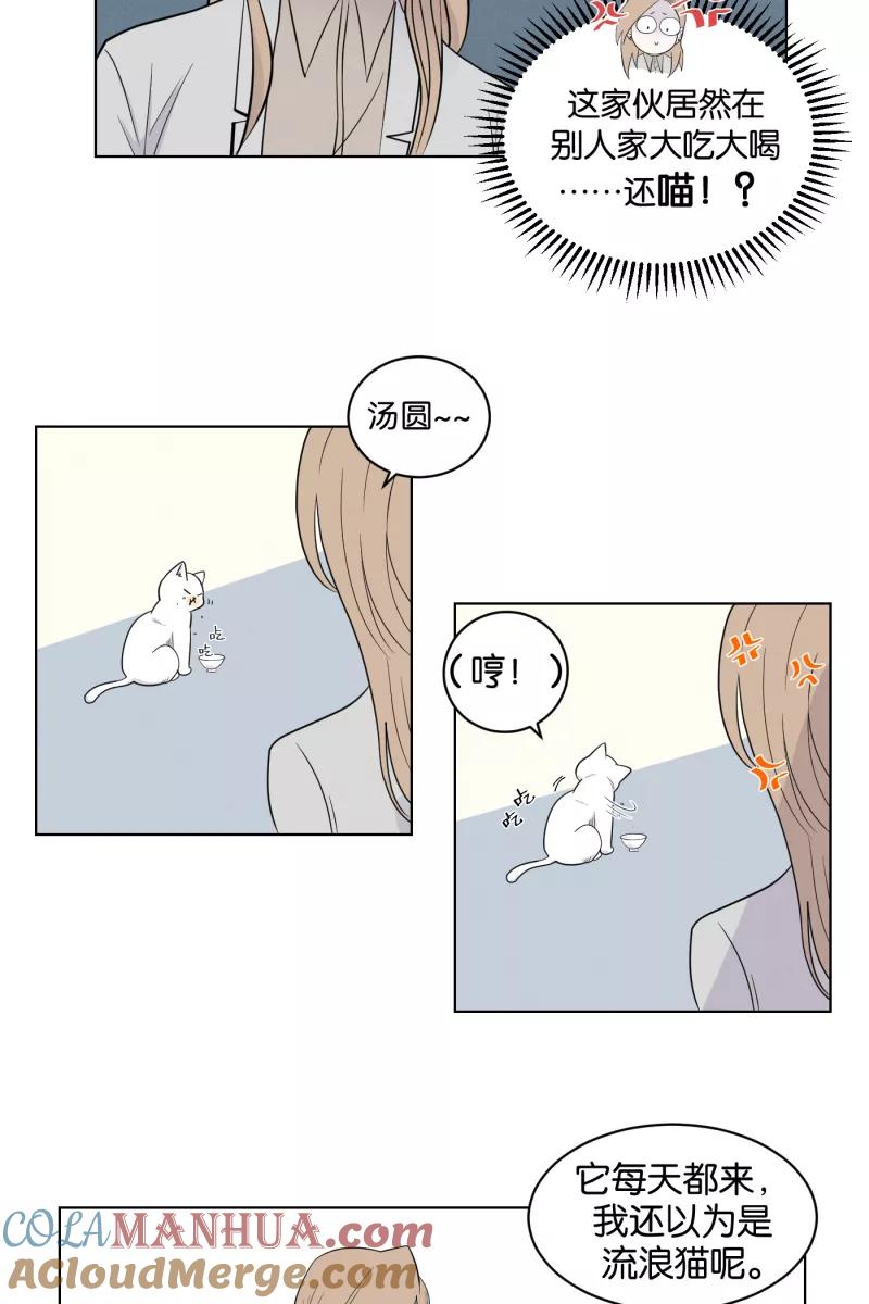 一半 - [第2话] 出走的猫（2） - 第27张图