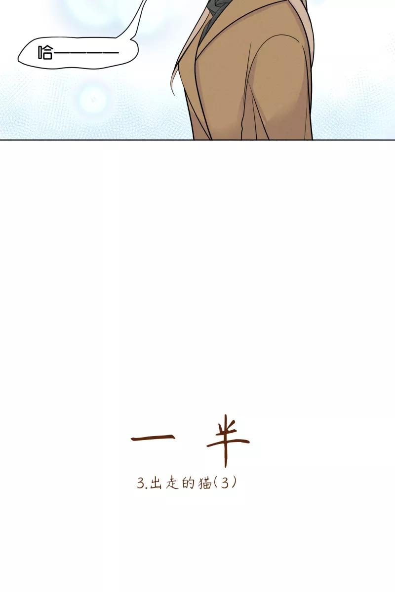 一半 - [第3话] 出走的猫（3） - 第8张图