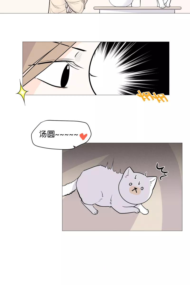 一半 - [第3话] 出走的猫（3） - 第18张图