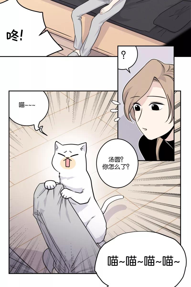 一半 - [第39话] 生病就该好好待在家里（3） - 第4张图