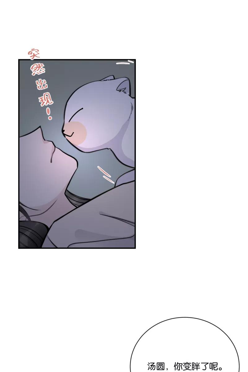 一半 - [第76话] 倒下的树 - 第35张图