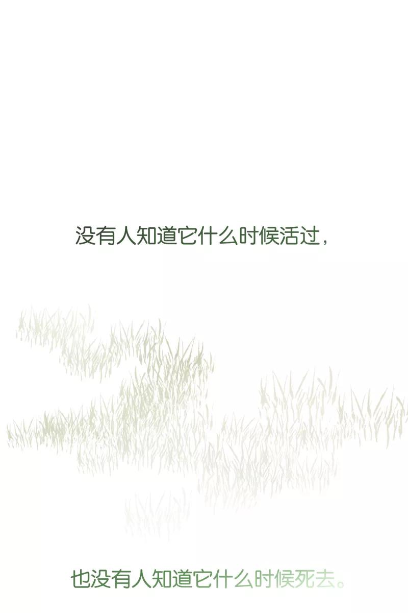 一半 - [第76话] 倒下的树 - 第33张图