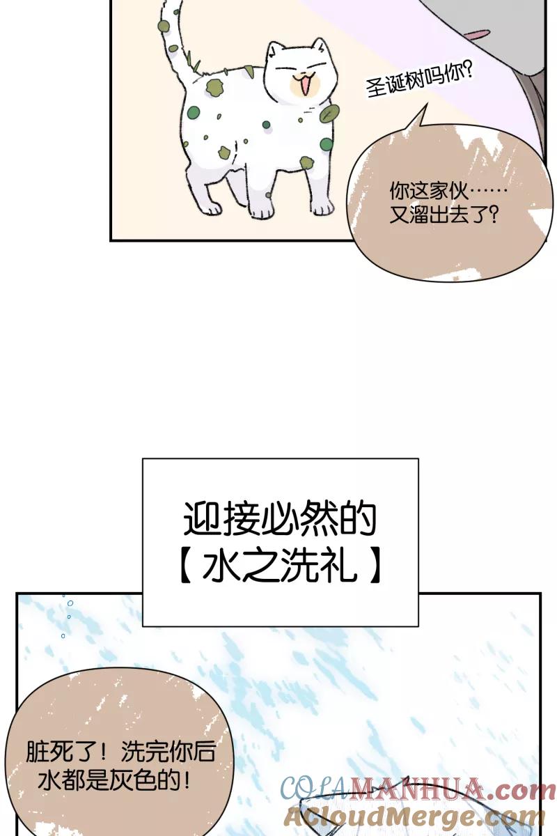 一半 - 【免费】番外篇 同一屋檐下的（沙雕）日常 - 第29张图