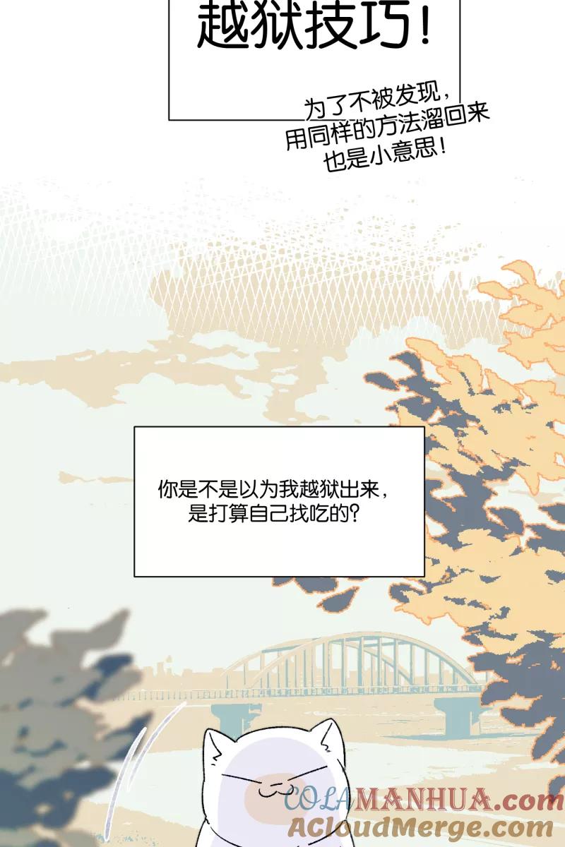 一半 - 【免费】番外篇 同一屋檐下的（沙雕）日常 - 第25张图