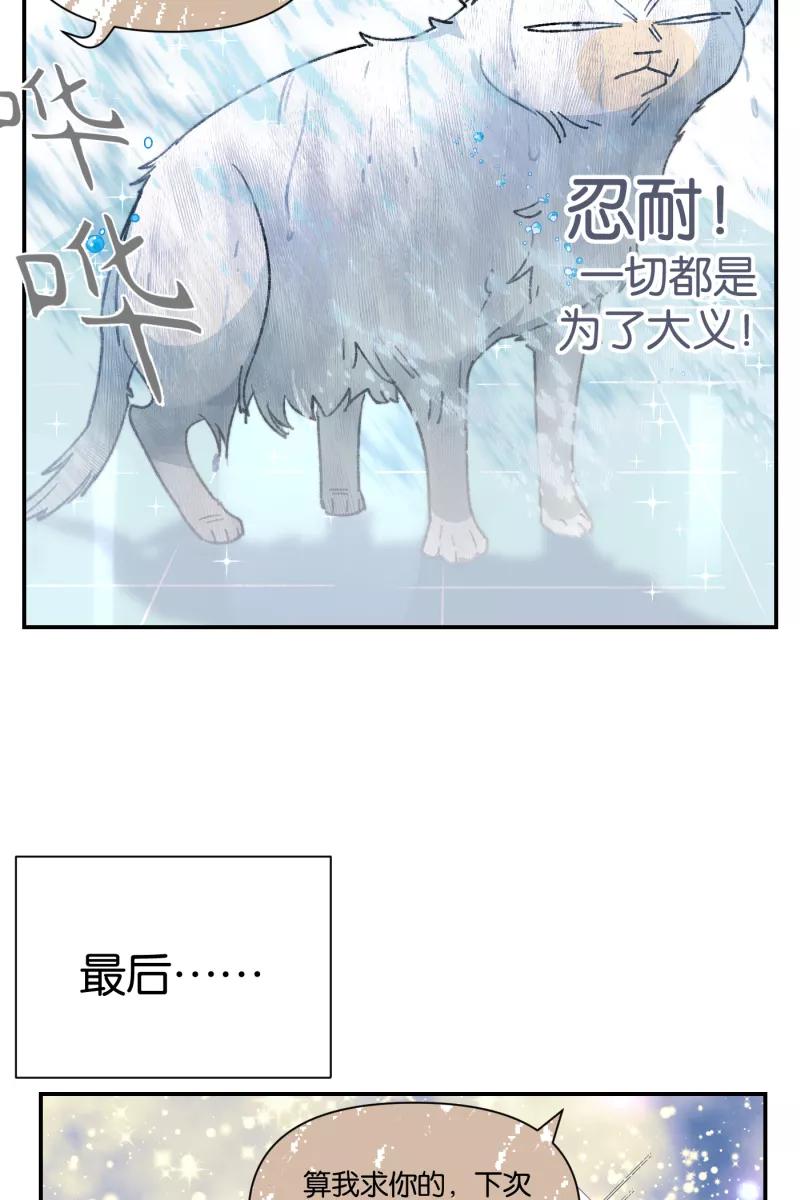 一半 - 【免费】番外篇 同一屋檐下的（沙雕）日常 - 第30张图