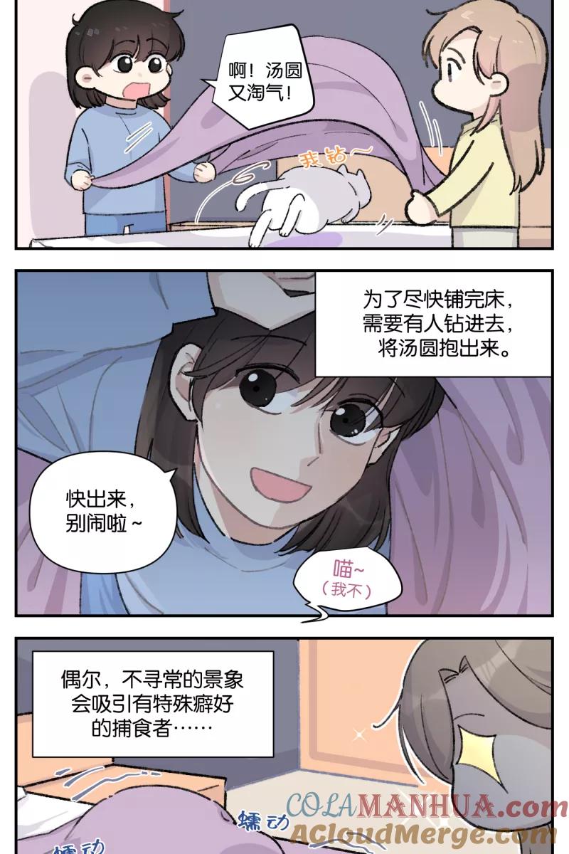 一半 - 【免费】番外篇 同一屋檐下的（沙雕）日常 - 第3张图