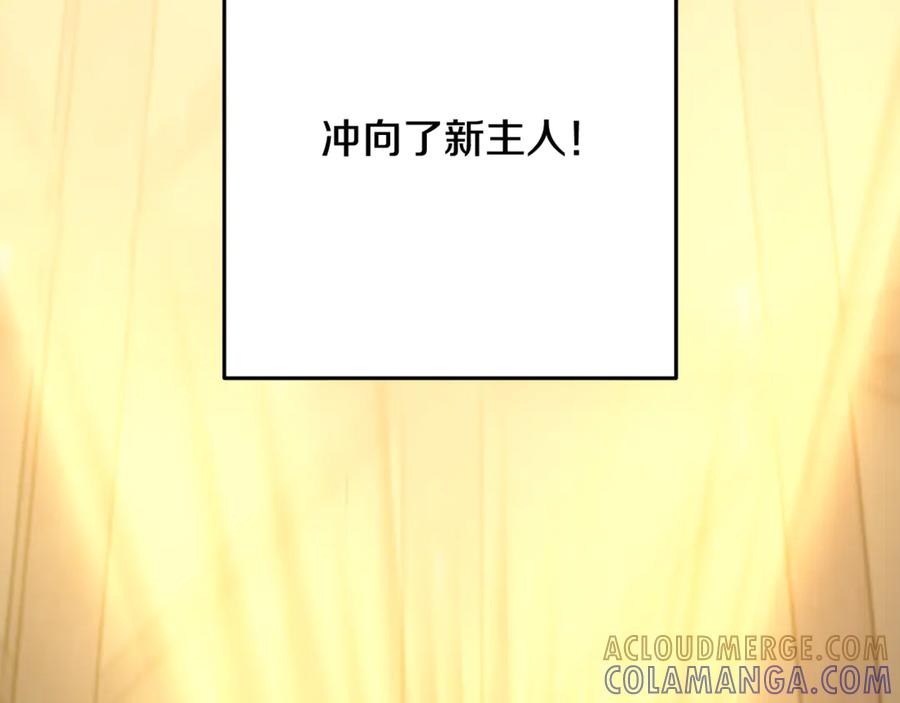 重启地下城 第259话 我们愿意投降 第177页