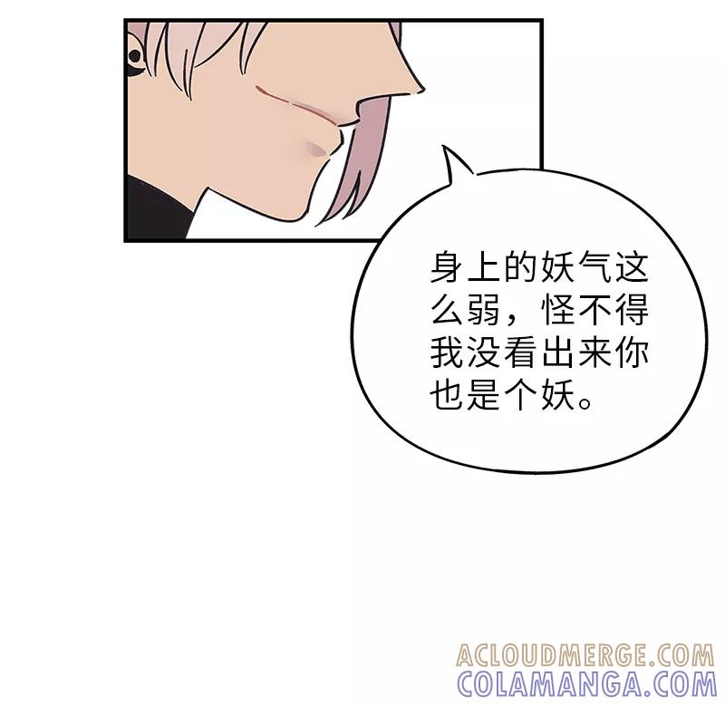 《一本正经防骗指南》第3话 来不及了，赶紧壁咚！ 第25页