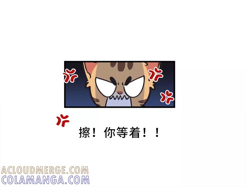 《一本正经防骗指南》第9话 喵~看我猫式“碰瓷” 第28页