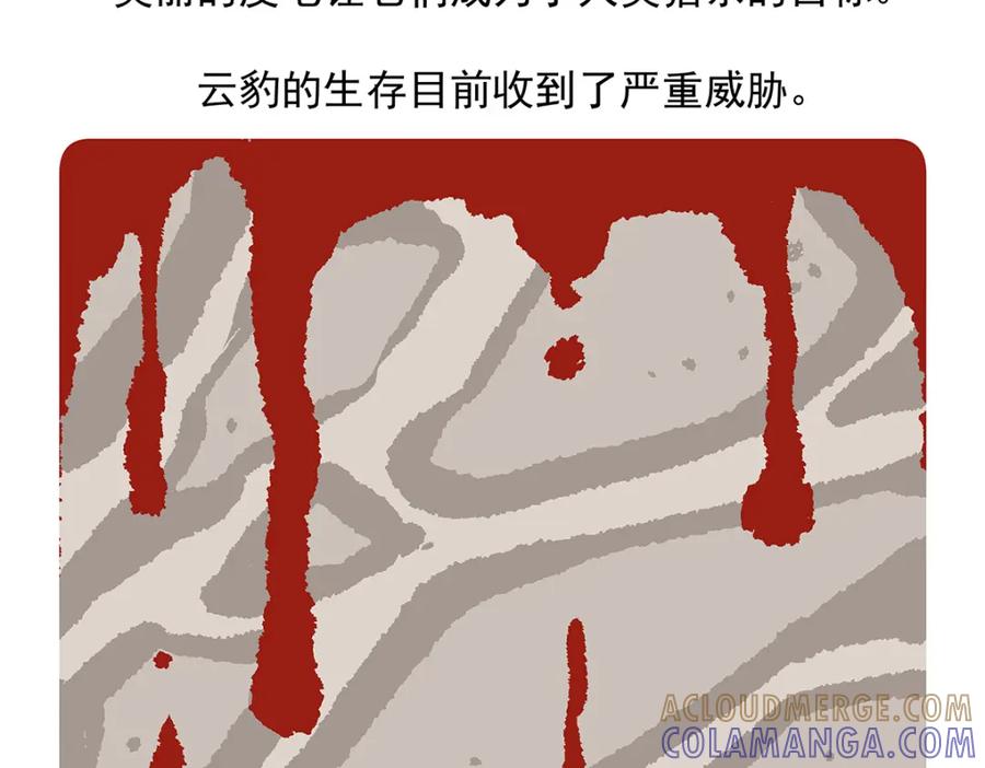 《胖达x胖达》第52话 第25页