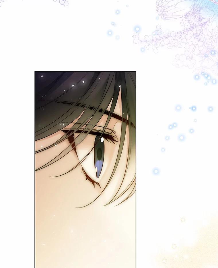 《一不小心娶了女装大佬》24.担忧 第75页