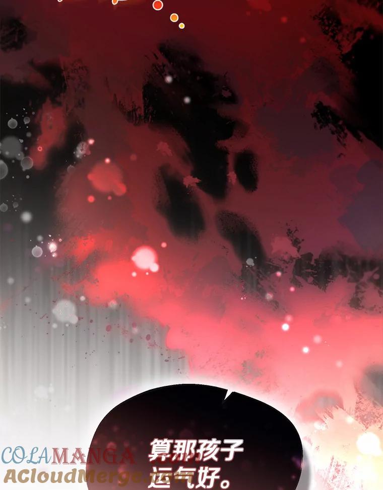 《一不小心娶了女装大佬》1.他就是大公！ 第13页
