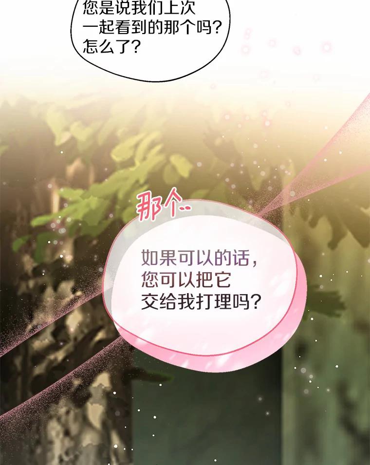 《一不小心娶了女装大佬》33.打理花园 第78页
