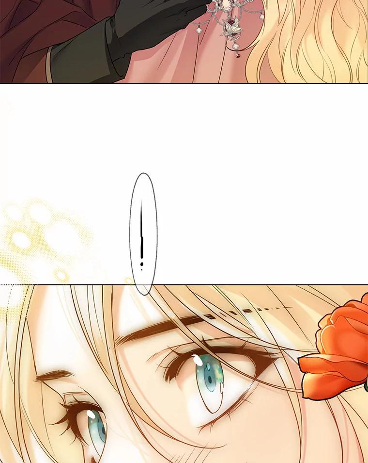 《一不小心娶了女装大佬》43.伊利安的秘密 第24页