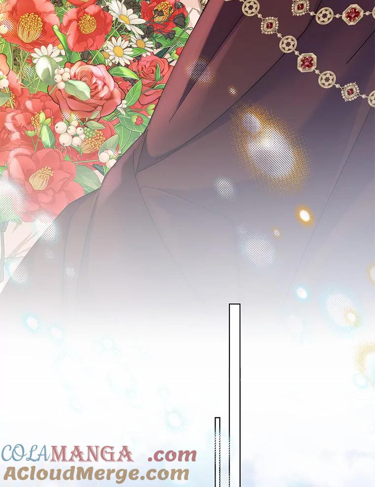 《一不小心娶了女装大佬》43.伊利安的秘密 第105页