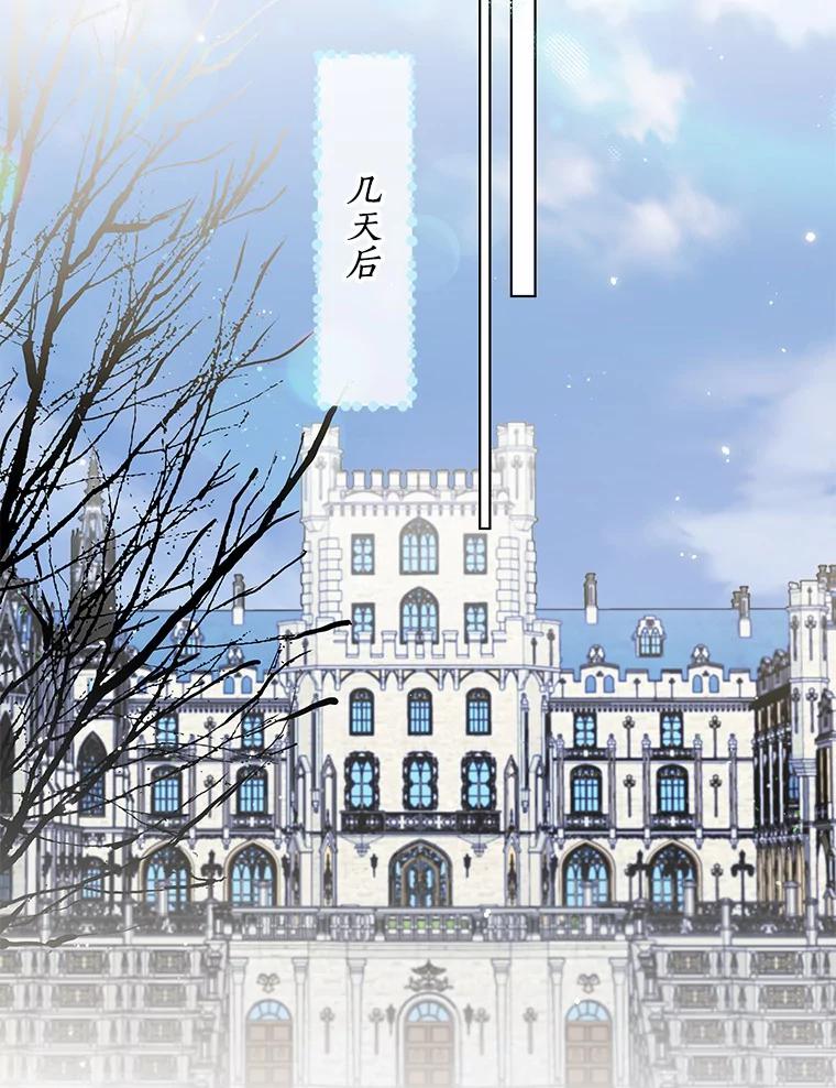 《一不小心娶了女装大佬》43.伊利安的秘密 第106页