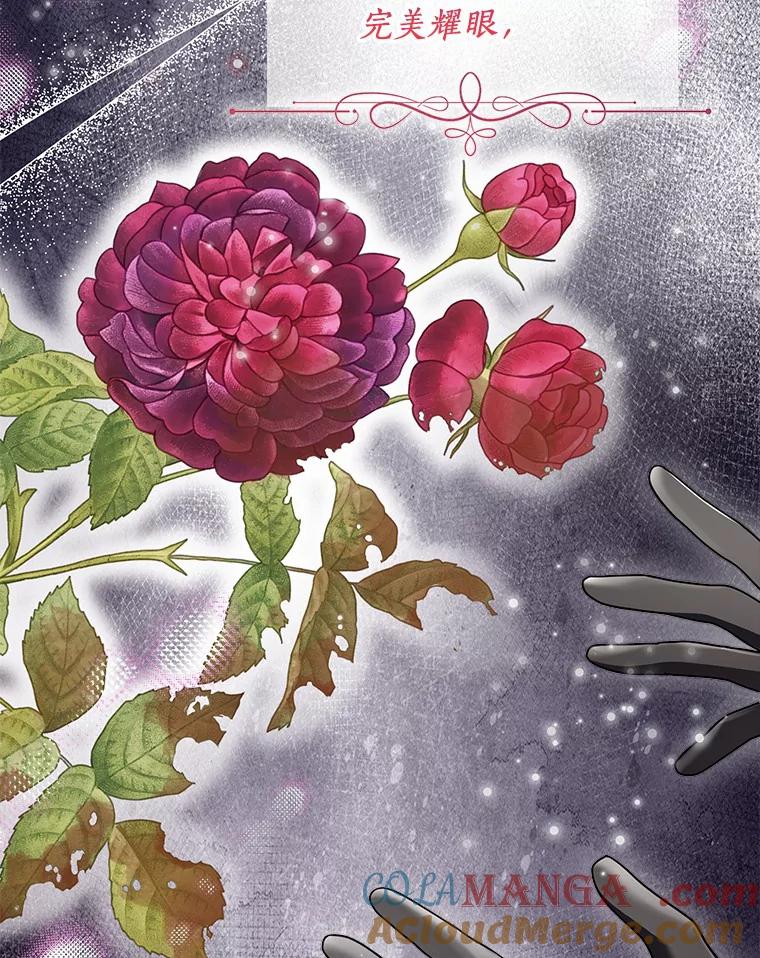 《一不小心娶了女装大佬》51.不想离开 第21页