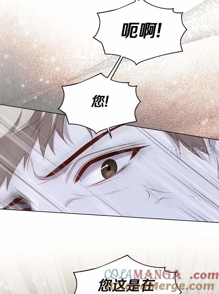 《一不小心娶了女装大佬》62.说服 第58页