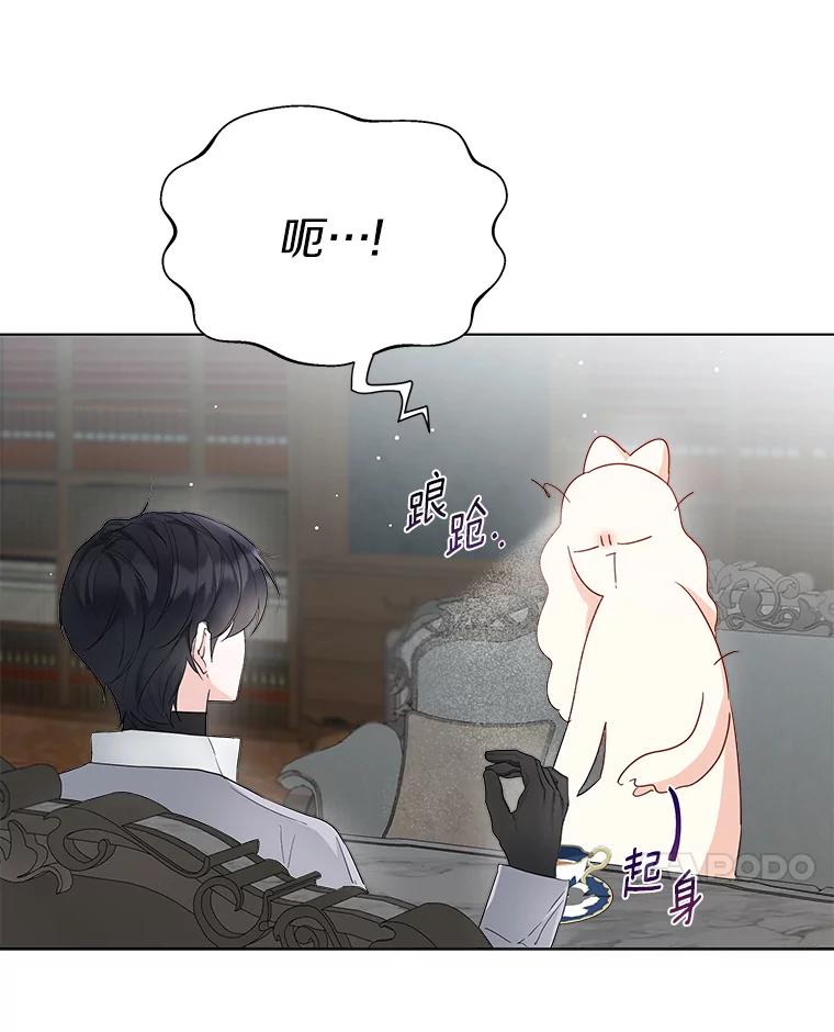 《一不小心娶了女装大佬》7.结婚批准文件 第21页