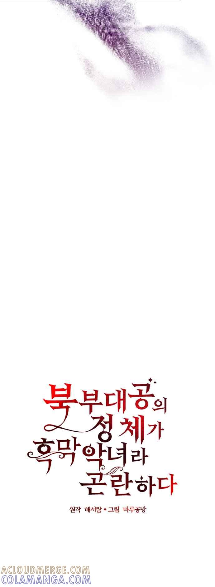 《北部大公竟然是幕后黑手》第27话 第28页