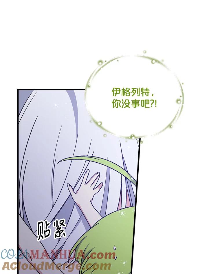 《伊格列特》8.赋名 第52页