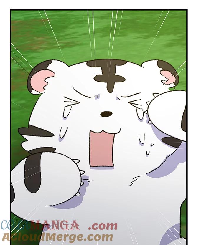 《伊格列特》99.白虎的苦衷 第41页