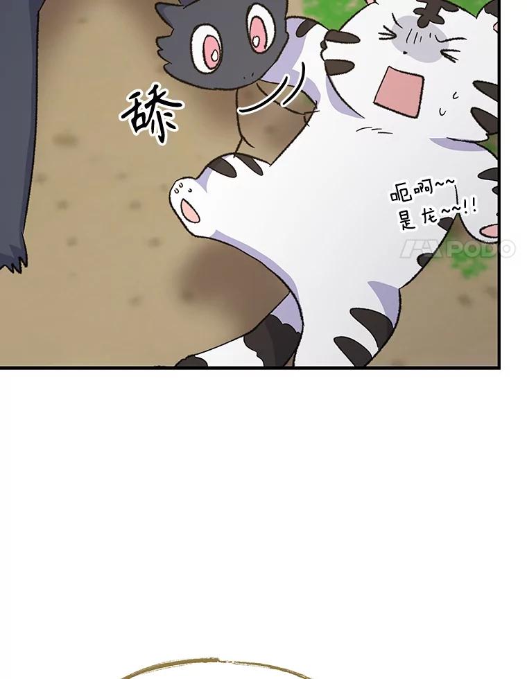 《伊格列特》99.白虎的苦衷 第116页