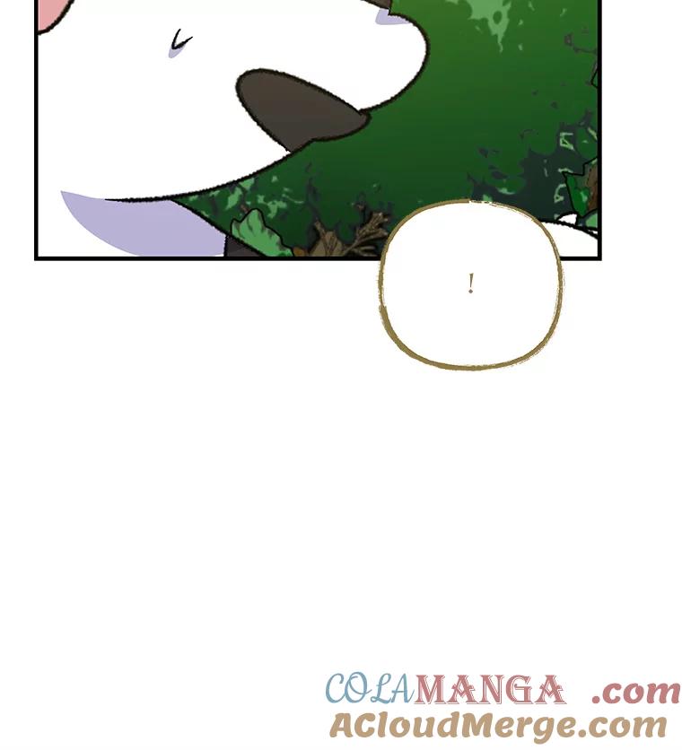 《伊格列特》99.白虎的苦衷 第45页