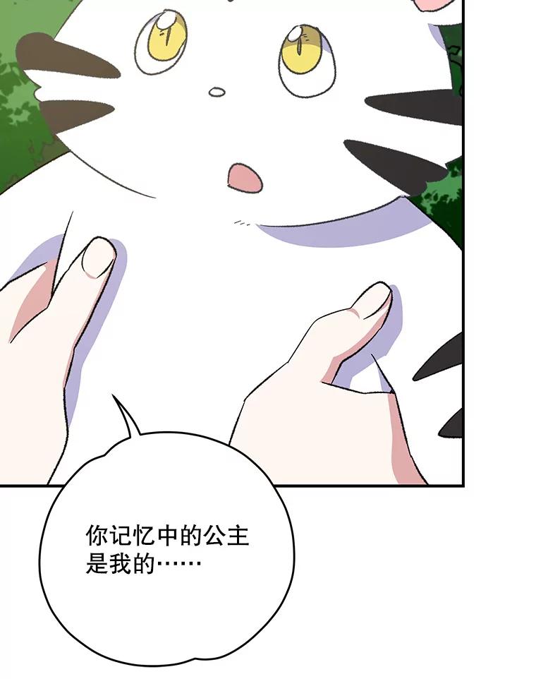 《伊格列特》99.白虎的苦衷 第63页