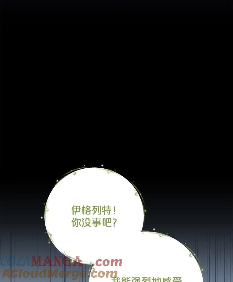 《伊格列特》100.可怜的螭 第81页