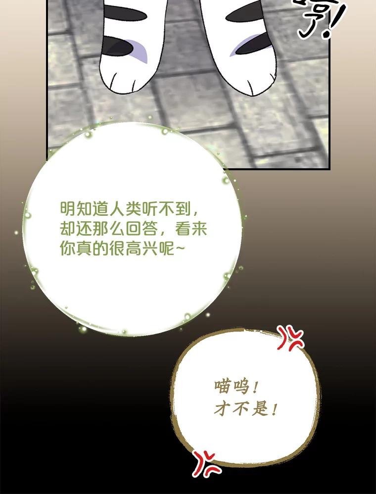 《伊格列特》104.夏允的宫殿 第47页