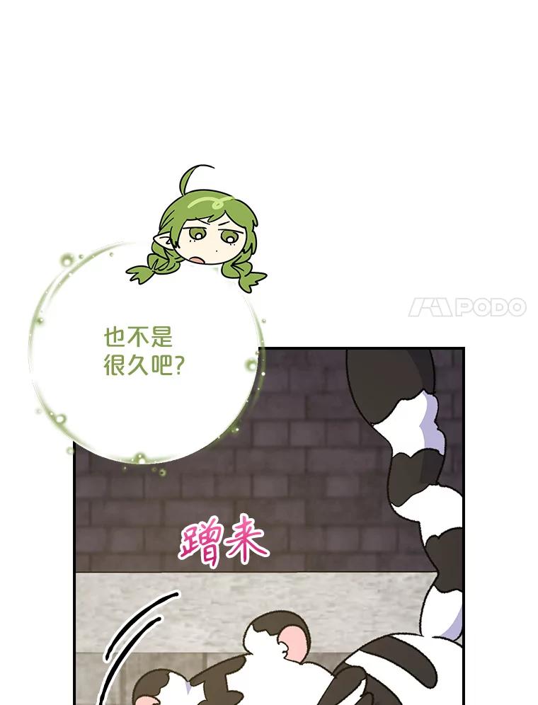 《伊格列特》104.夏允的宫殿 第35页