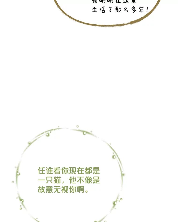 《伊格列特》106.青龙的安危 第14页