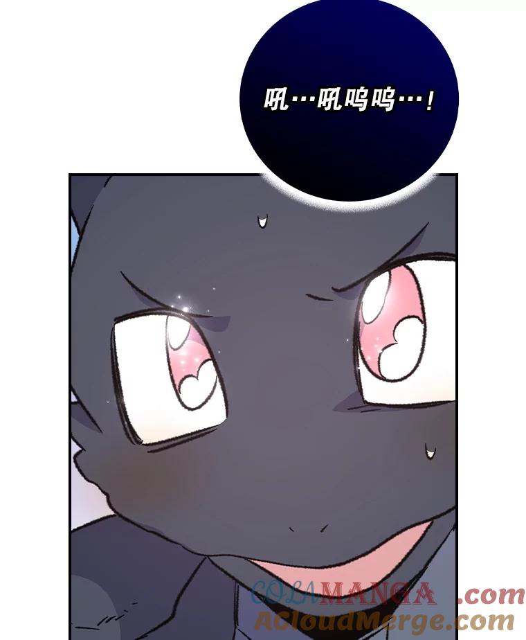 《伊格列特》111.训练心得 第85页