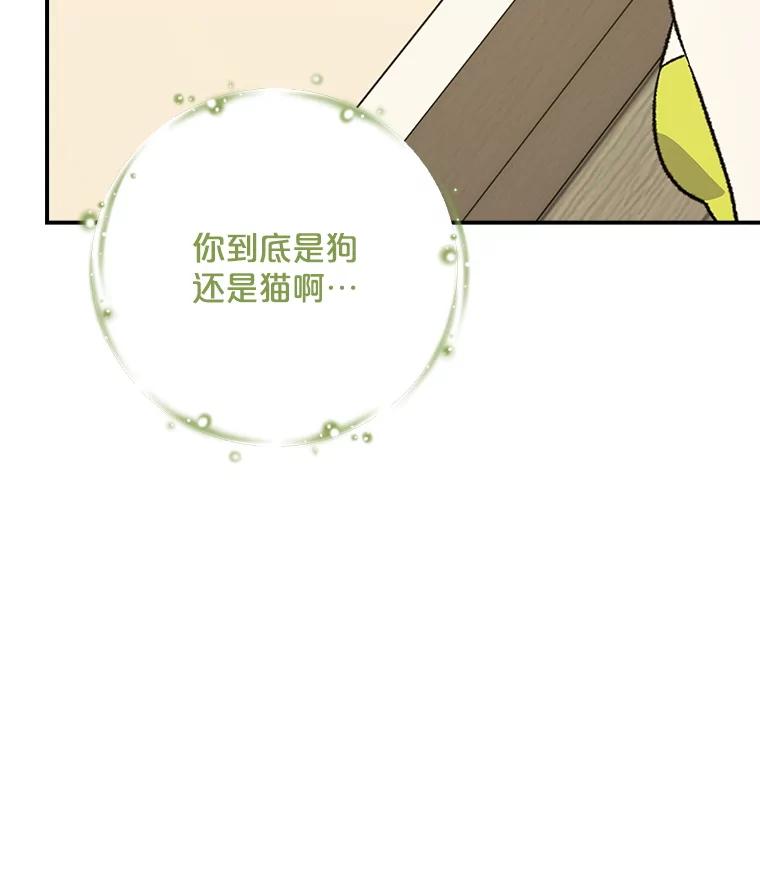 《伊格列特》112.神兽的信物 第70页