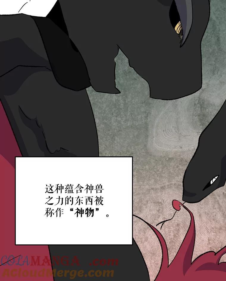 《伊格列特》112.神兽的信物 第29页