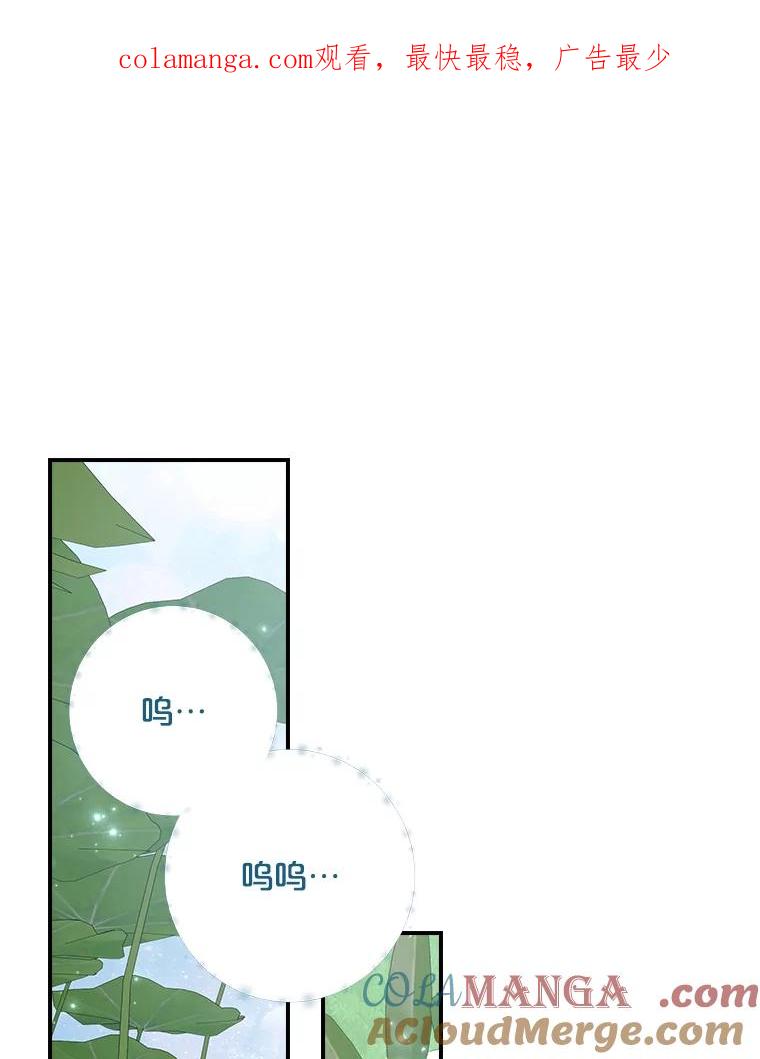 《伊格列特》123.来到精灵界 第1页