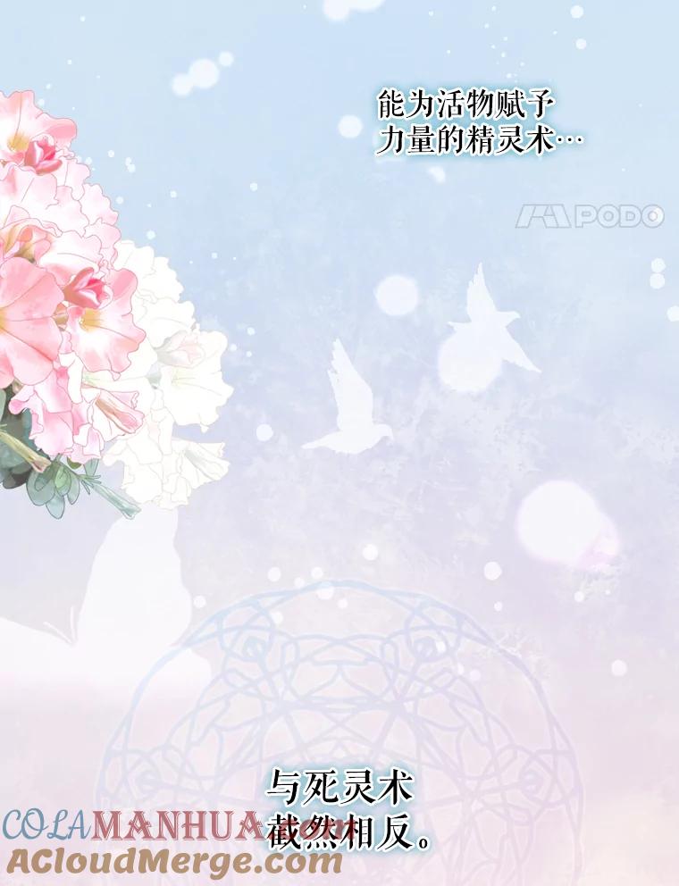 《伊格列特》16.死灵术 第4页