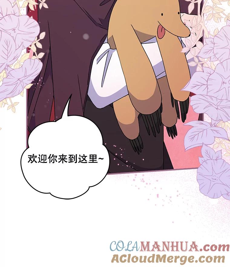 《伊格列特》26.精灵学课程 第25页