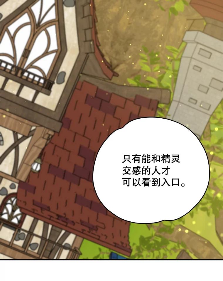 《伊格列特》29.精灵契约 第46页