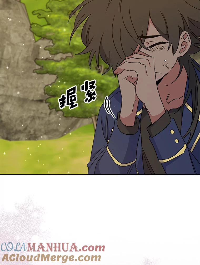 《伊格列特》29.精灵契约 第101页