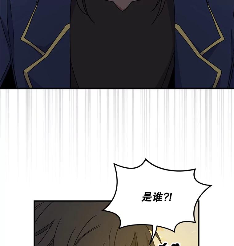 《伊格列特》29.精灵契约 第106页