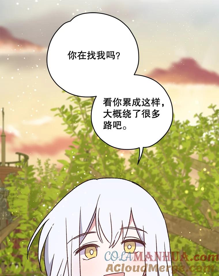 《伊格列特》29.精灵契约 第41页