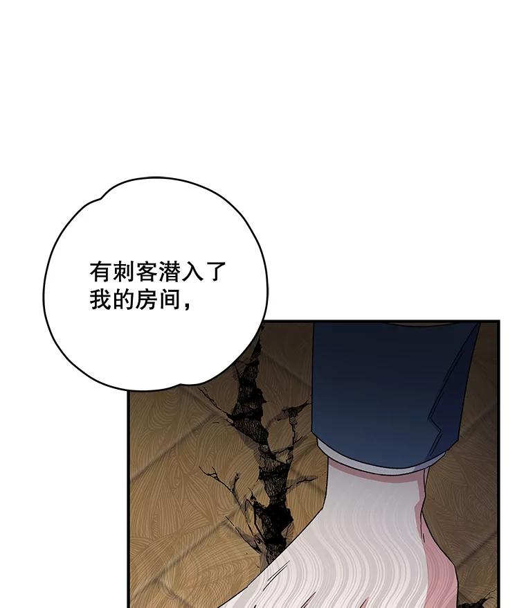 《伊格列特》42.刺客事件 第10页