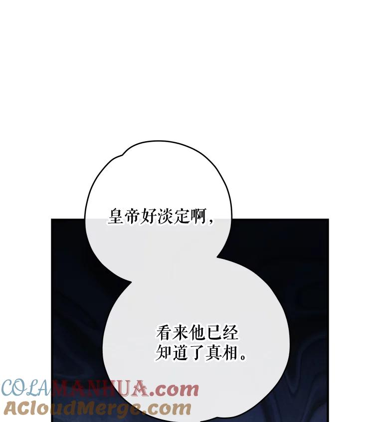 《伊格列特》48.皇帝的陈述 第97页