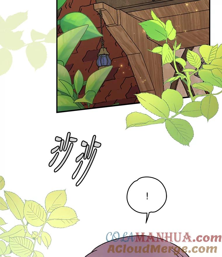 《伊格列特》49.重返卢瓦赫 第81页